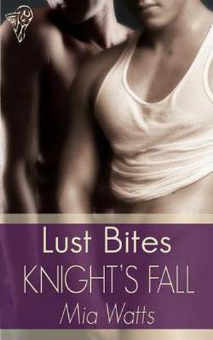 Knight's Fall (Boys in Blue #4)
