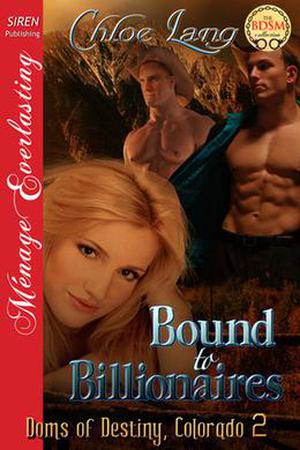 Bound to Billionaires (Doms of Destiny, Colorado #2)