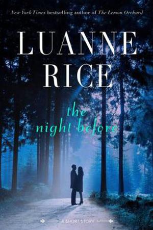 The Night Before (Hubbard's Point/Black Hall series #6.5)