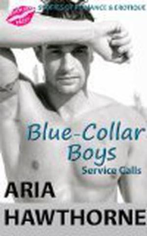 Service Calls (Blue-Collar Boys) by Aria Hawthorne