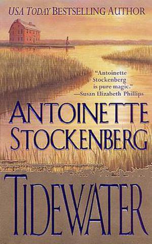Tidewater by Antoinette Stockenberg