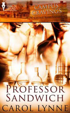 Professor Sandwich (Campus Cravings #19)