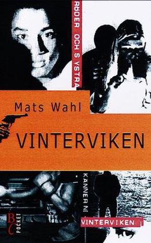 Vinterviken by Mats Wahl