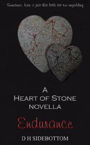 Endurance by D.H. Sidebottom