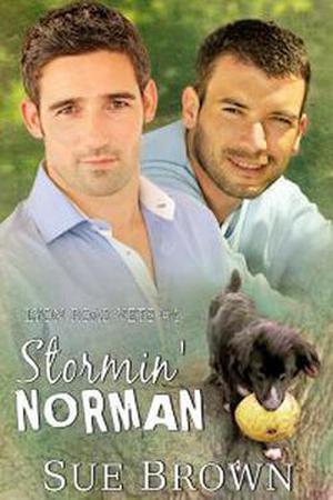 Stormin' Norman (Lyon Road Vets #4)