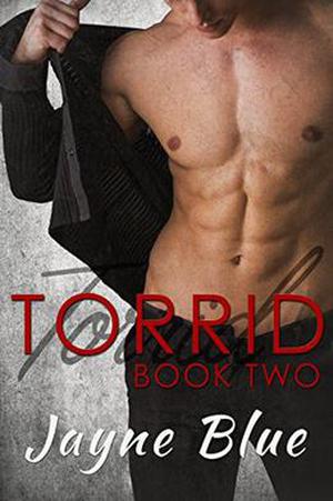 Torrid - Book Two by Jayne Blue