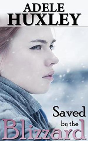 Saved by the Blizzard (Tellure Hollow #2)