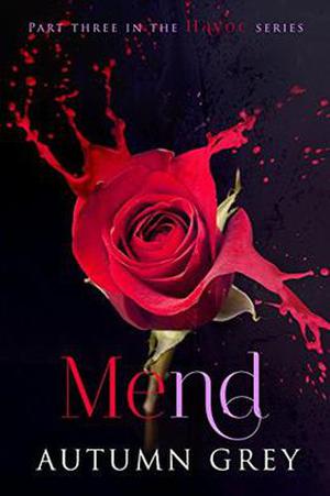 Mend (Havoc #3)
