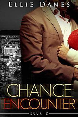 Chance Encounter, Book 2: An Alpha Billionaire Romance by Ellie Danes