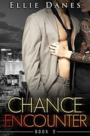 Chance Encounter, Book 3: An Alpha Billionaire Romance (Chance Encounter #3)