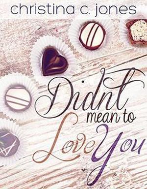 Didn't Mean To Love You (Serendipitous Love #2)