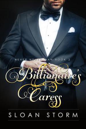 Billionaire’s Caress by Sloan Storm