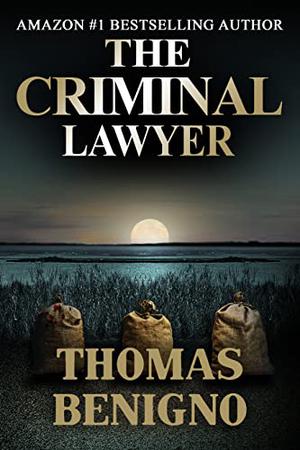 The Criminal Lawyer (Good Lawyer #2)