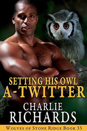 Setting His Owl A-Twitter (Wolves of Stone Ridge #33)