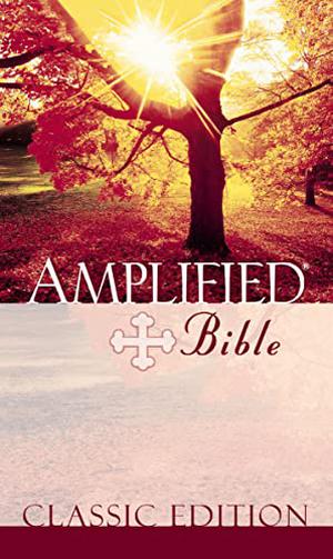 Amplified Bible by Anonymous