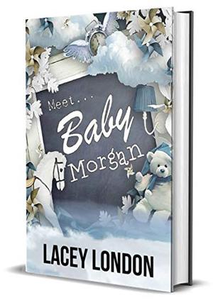Meet Baby Morgan (Clara Andrews #5)