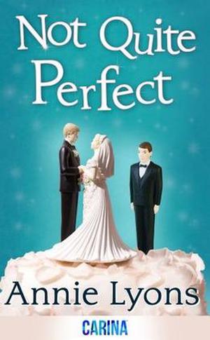 Not Quite Perfect by Annie Lyons