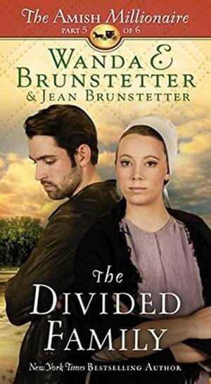 The Divided Family: The Amish Millionaire Part 5 by Wanda E. Brunstetter, Jean Brunstetter