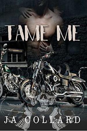 Tame Me (Blood Brothers MC Series #1)