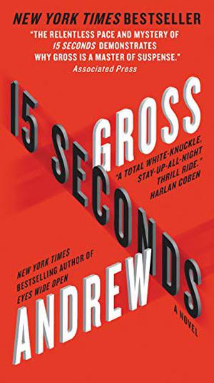 15 Seconds by Andrew Gross