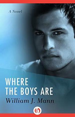 Where the Boys Are: A Novel (Jeff & Lloyd #2)