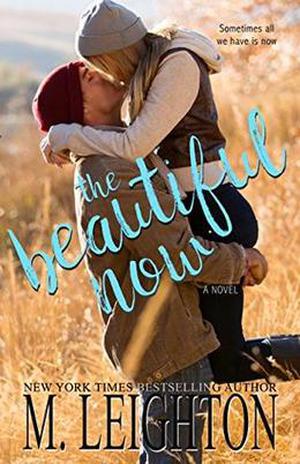 The Beautiful Now by Michelle Leighton