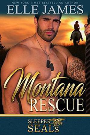 Montana Rescue (Brotherhood Protectors #8)