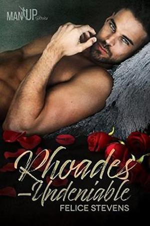 Rhoades—Undeniable by Felice Stevens
