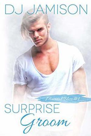 Surprise Groom by D.J. Jamison