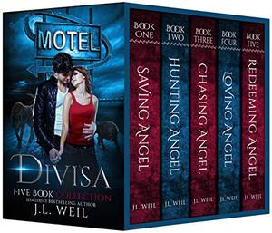 Divisa: The Complete Series by J.L. Weil