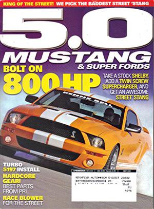 Joey (Bossy Brothers #2)