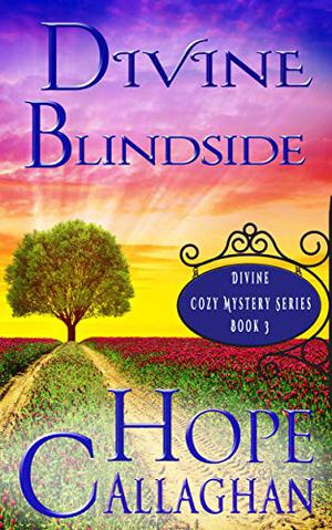 Divine Blindside by Hope Callaghan