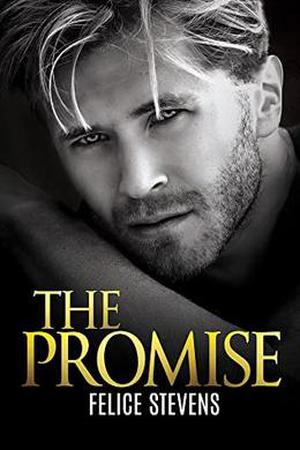 The Promise (Lost in New York #2)
