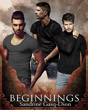Beginnings: The Santorno Stories 8 by Sandrine Gasq-Dion, Brenda Wright