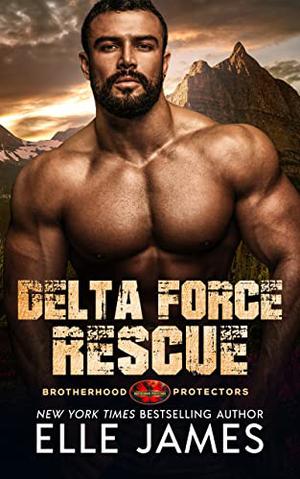 Delta Force Rescue (Brotherhood Protectors #15)