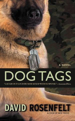 Dog Tags (Andy Carpenter #8)