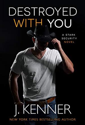 Destroyed With You (Stark Security #5)