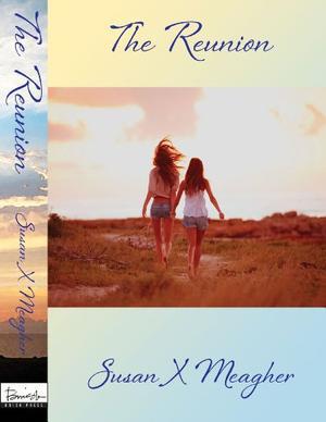 The Reunion by Susan X. Meagher