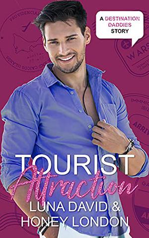 Tourist Attraction (Destination Daddies #1)