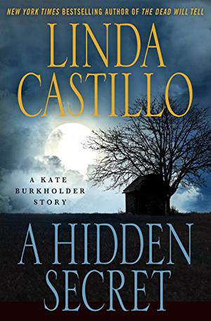 A Hidden Secret (Kate Burkholder #6.5)