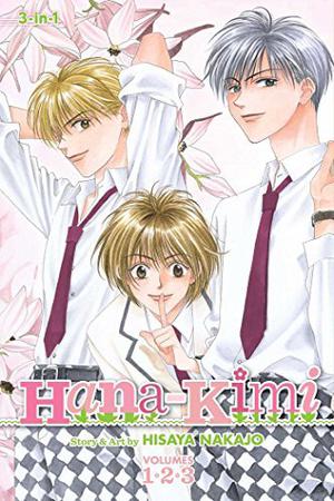For You In Full Blossom Vol. 20 (Hana-Kimi #20)
