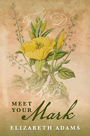 Meet Your Mark: A Pride and Prejudice Reimagining by Elizabeth Adams