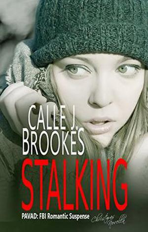 Stalking: Christmas Novella (PAVAD: FBI - Prevention & Analysis of Violent Acts Division #9)