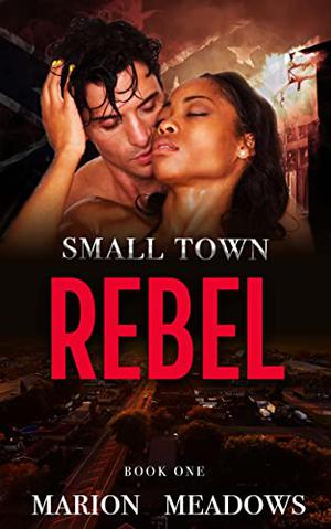 Small Town Rebel by Marion Meadows