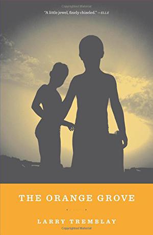 The Orange Grove by Larry Tremblay