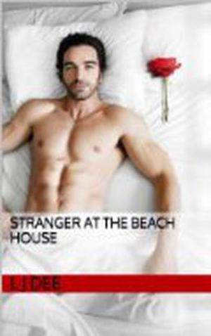 Stranger At The Beach House by L.J. Dee