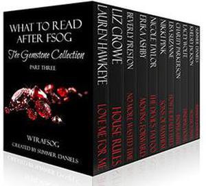 What to Read After FSOG: The Gemstone Collection by Lauren Hawkeye, Liz Crowe, Beverly Preston, Erika Ashby, Nicole R. Taylor, Nikki Pink, Lisa Suzanne, Charity Parkerson, Lacey Wolfe, Khelsey Jackson, Summer Daniels