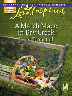A Match Made in Dry Creek (Dry Creek #10)