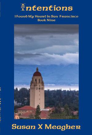 Intentions by Susan X. Meagher