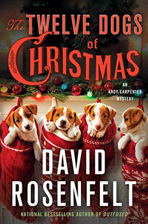 The Twelve Dogs of Christmas (Andy Carpenter #15)